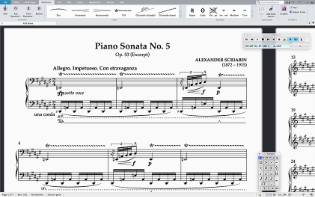 Sibelius screenshot 1